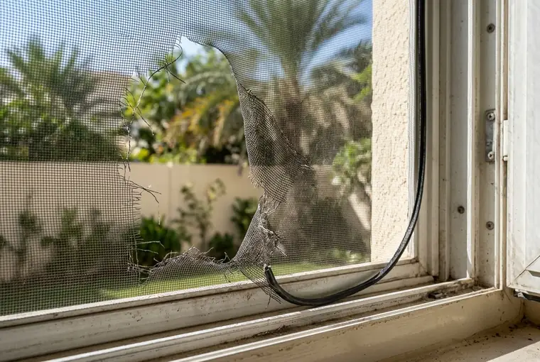 A torn, sun-faded insect screen lifting out of the frame of a Dubai villa window