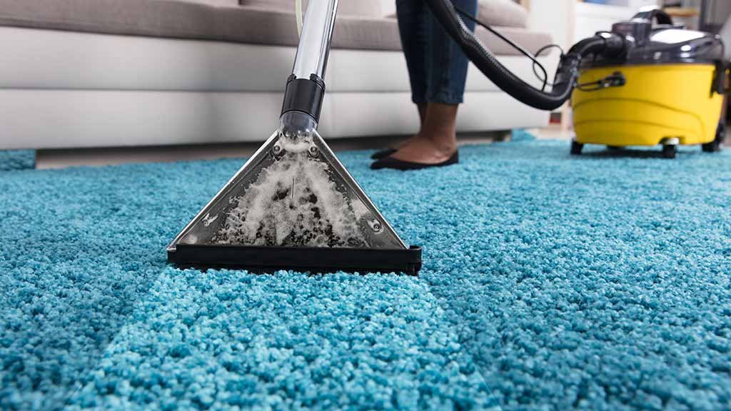 Carpet extraction cleaning in progress