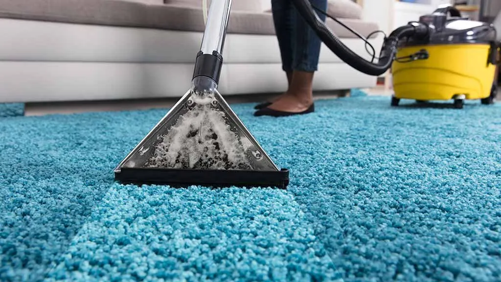 Carpet extraction cleaning in progress